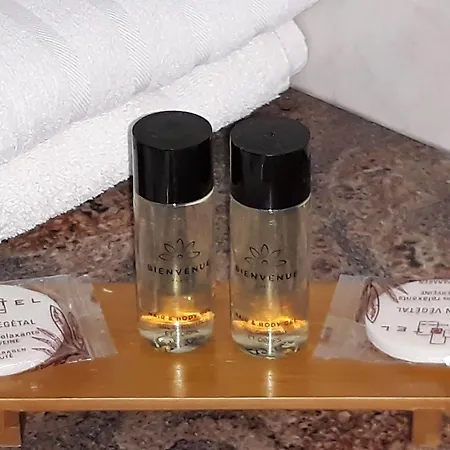 Cit'hotel Le Challonge 3* Ντινάν